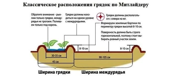 Схема грядок по митлайдеру