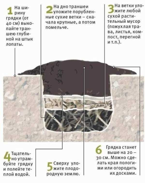 Схема теплой грядки для огурцов