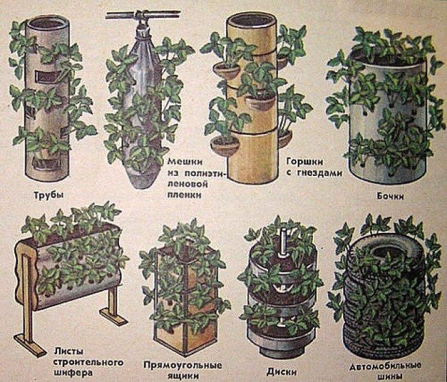 Вертикальные грядки для клубники