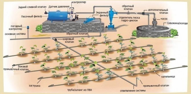 Капельное орошение полей система схема