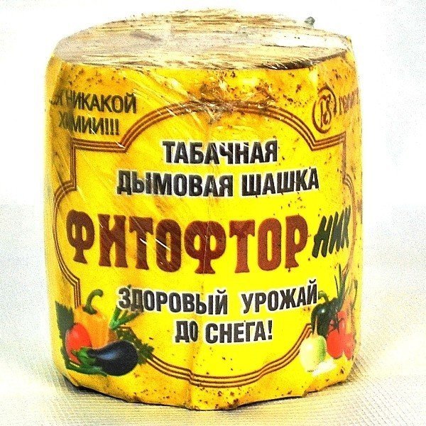 Табачная шашка фитофторник